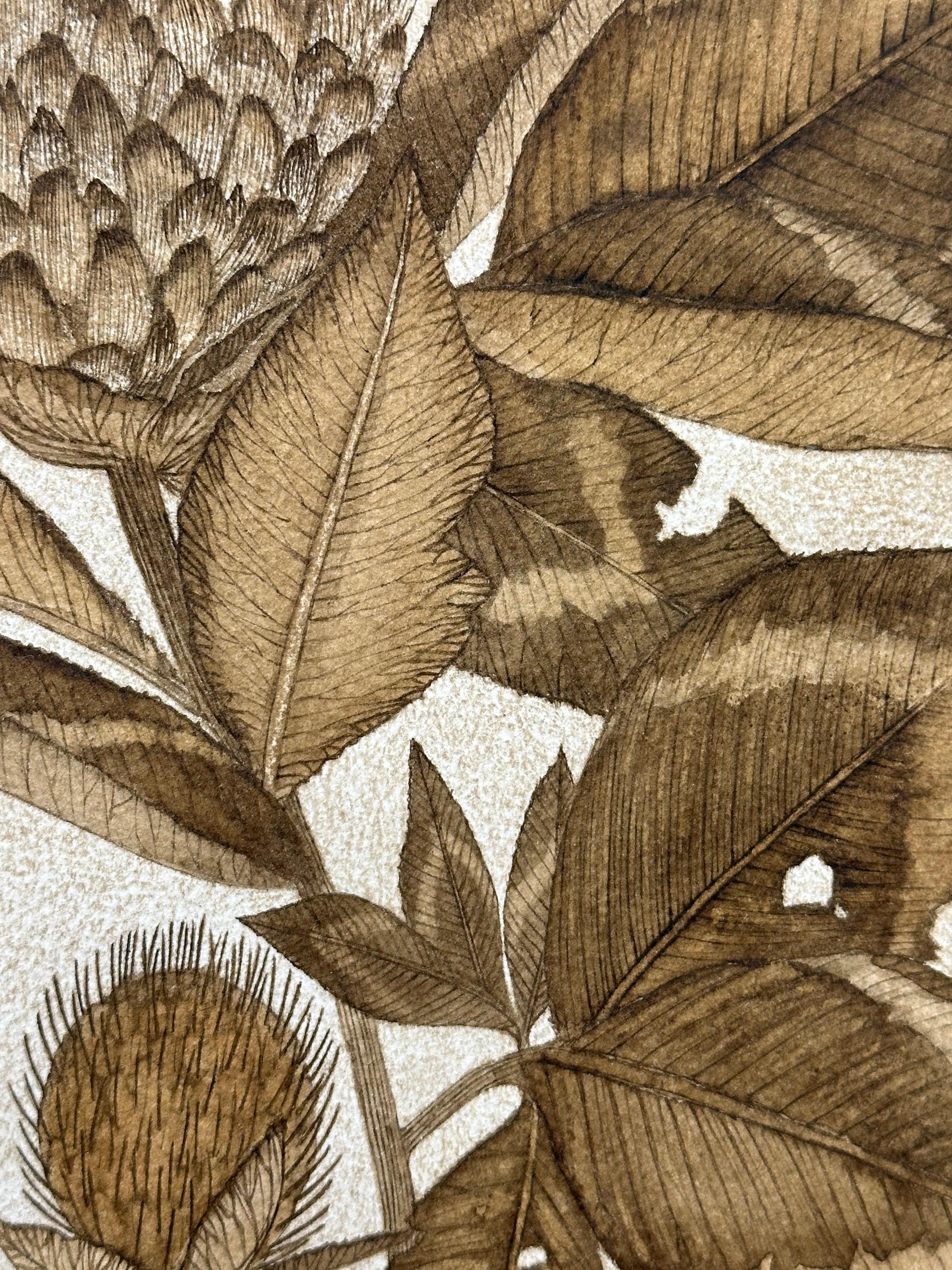 Trifoglio rosso - Pianta botanica di fiori selvatici Foglie di fiori Inchiostro marrone noce, 2024 1
