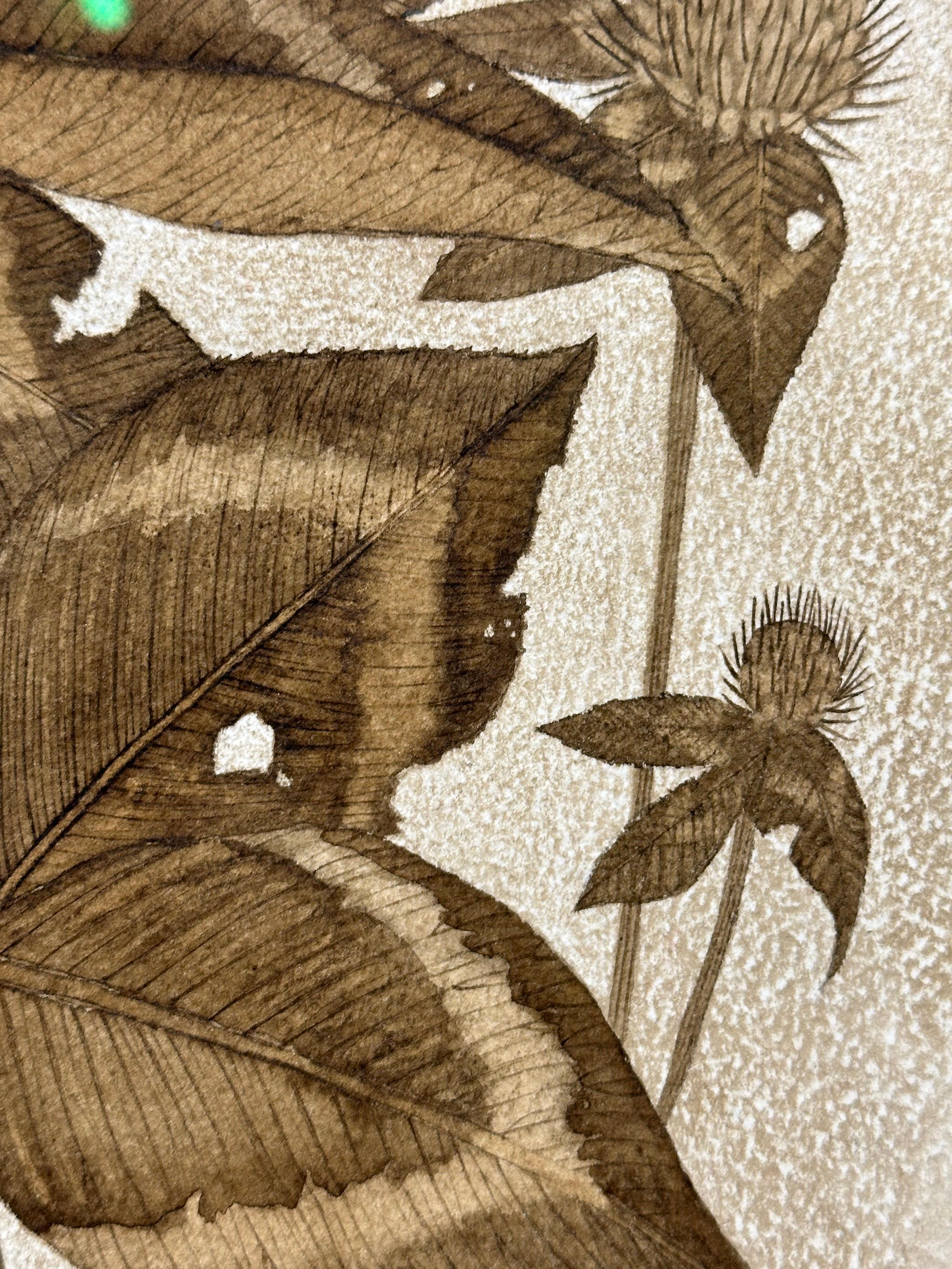 Trifoglio rosso - Pianta botanica di fiori selvatici Foglie di fiori Inchiostro marrone noce, 2024 3