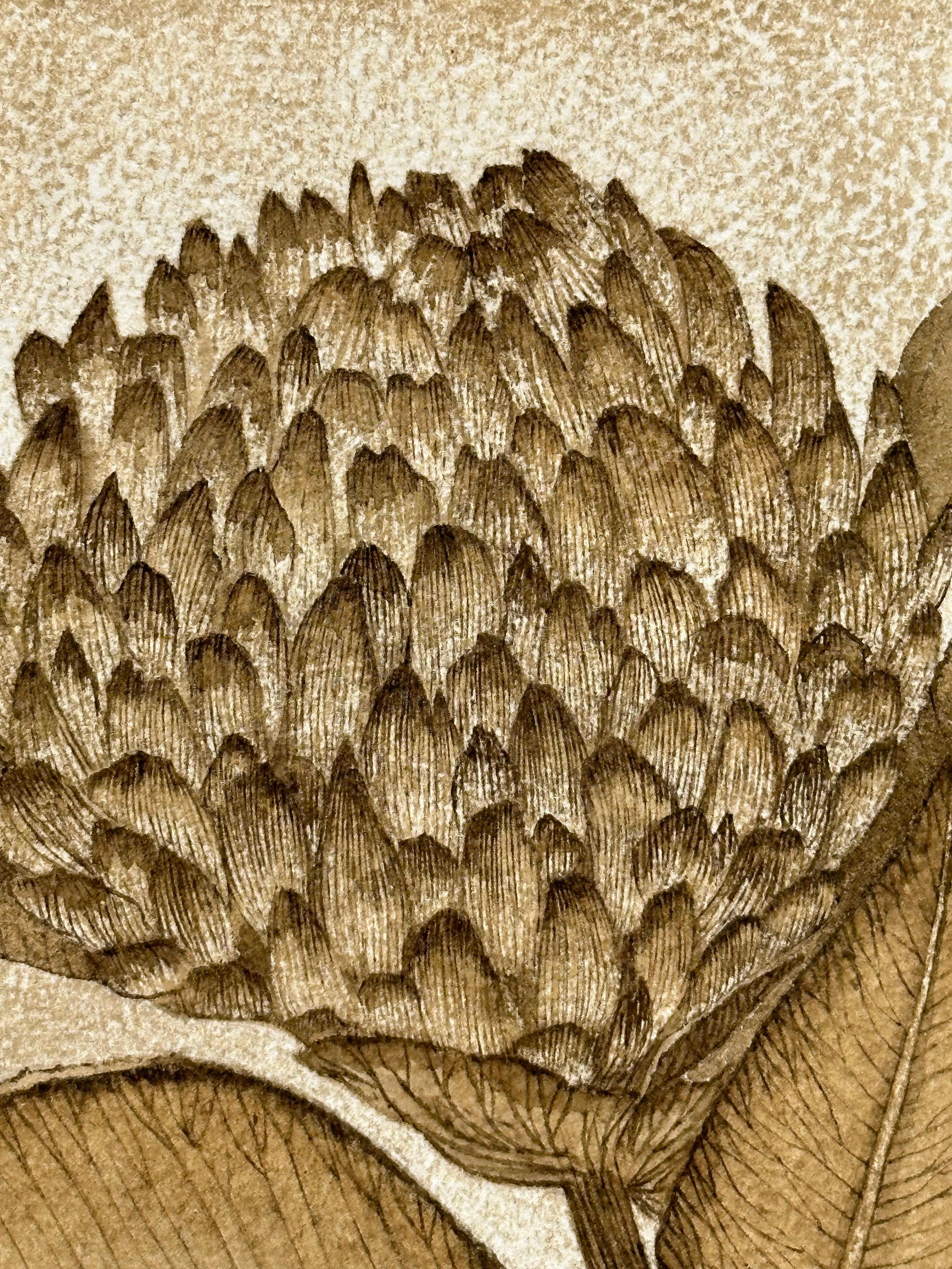 Trifoglio rosso - Pianta botanica di fiori selvatici Foglie di fiori Inchiostro marrone noce, 2024 4