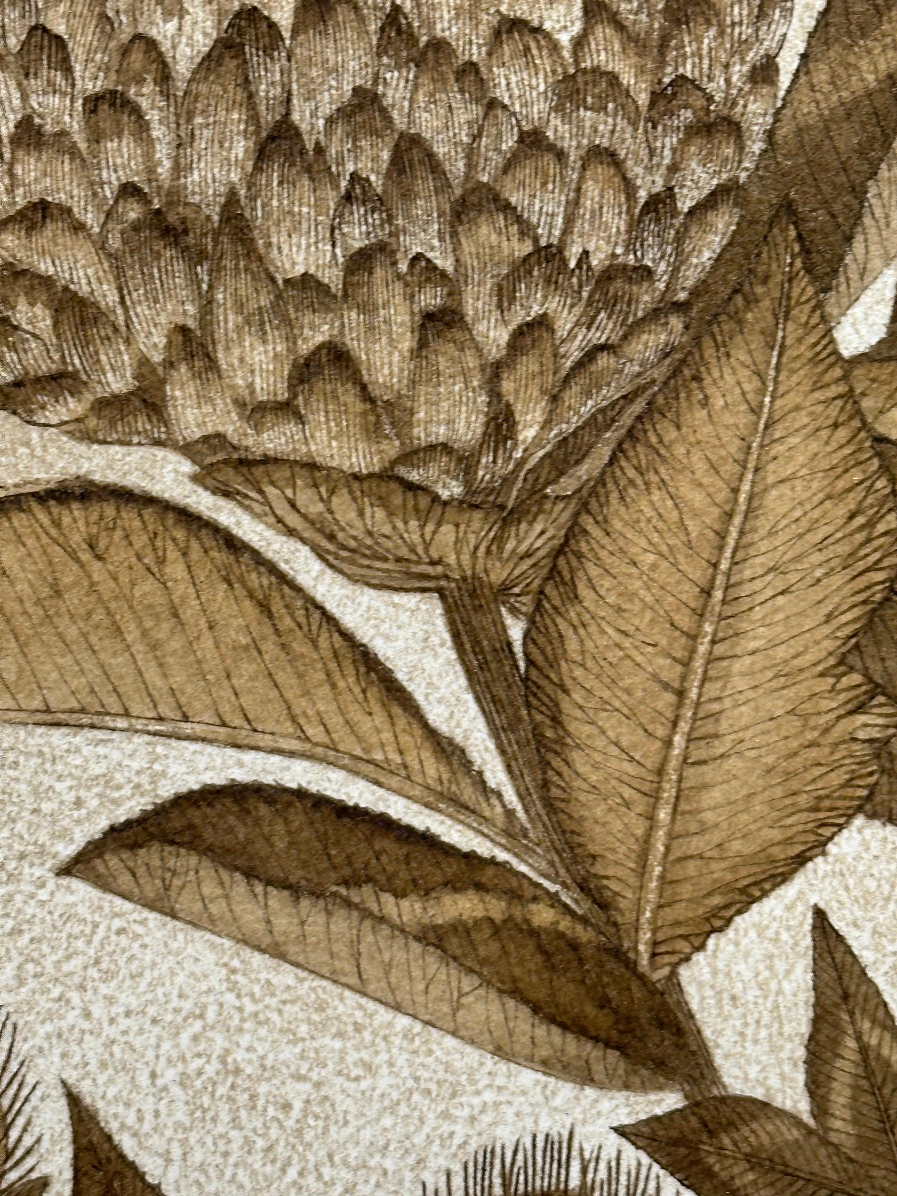 Trifoglio rosso - Pianta botanica di fiori selvatici Foglie di fiori Inchiostro marrone noce, 2024 5