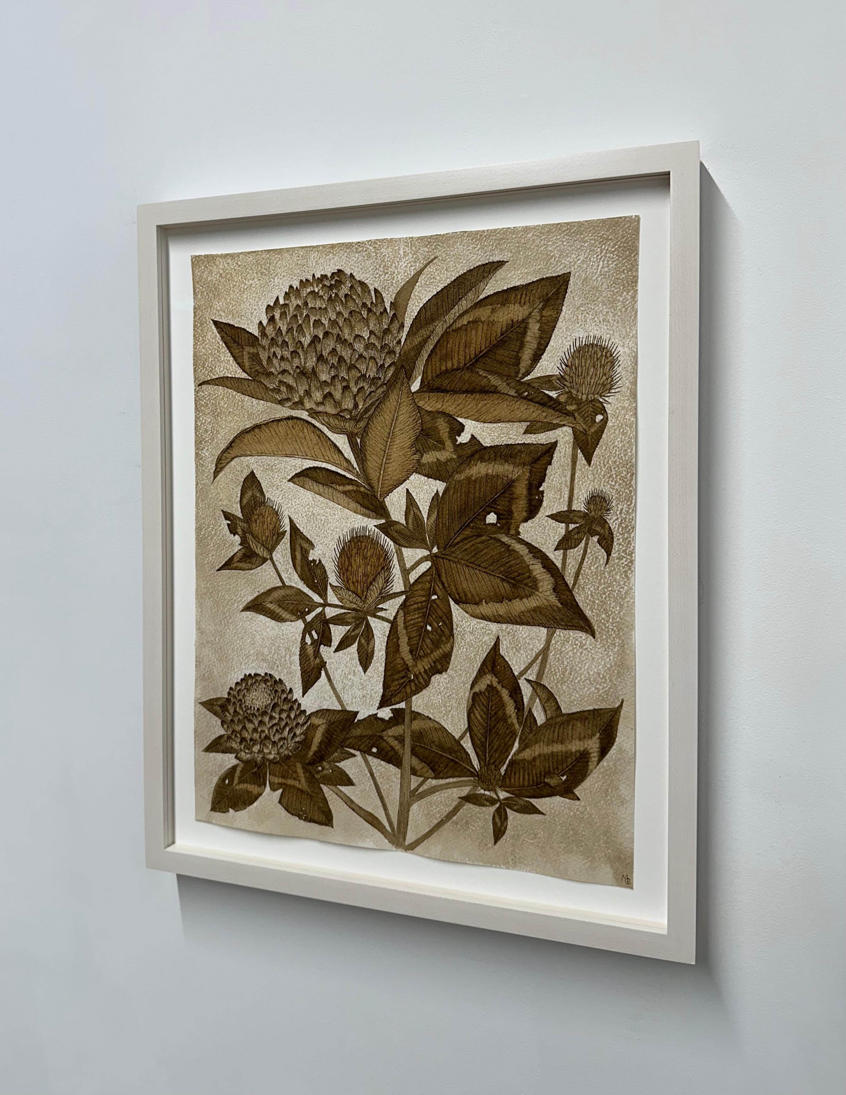 Trifoglio rosso - Pianta botanica di fiori selvatici Foglie di fiori Inchiostro marrone noce, 2024 7