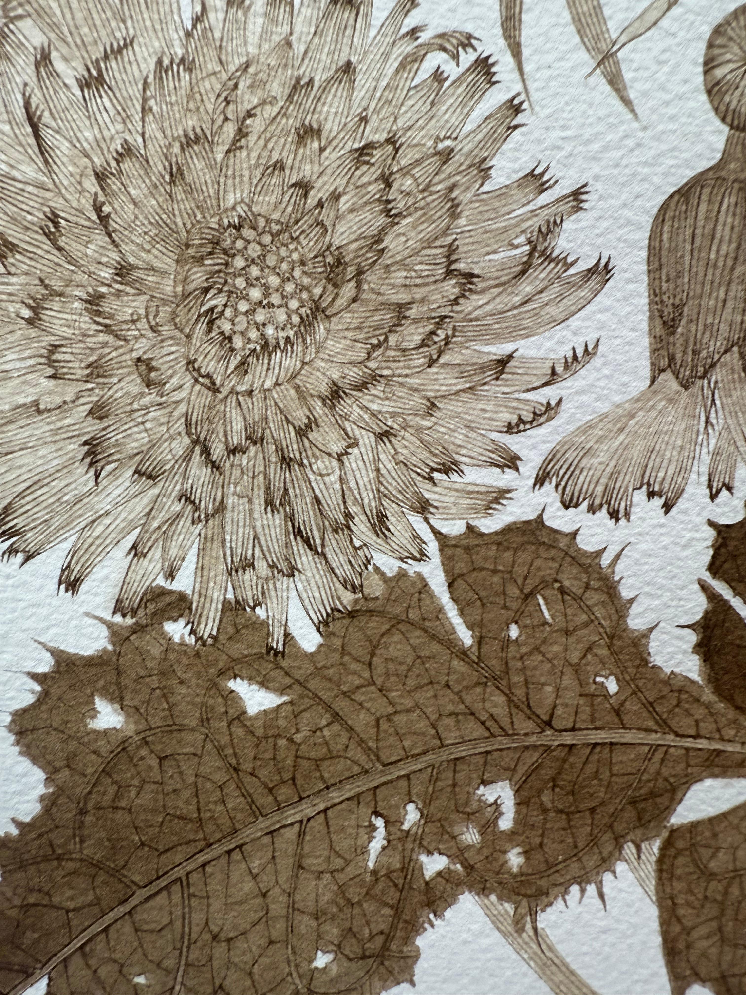 Sow Thistle One - Fleurs botaniques de plantes sauvages Encre brun-noir, 2025 en vente 7