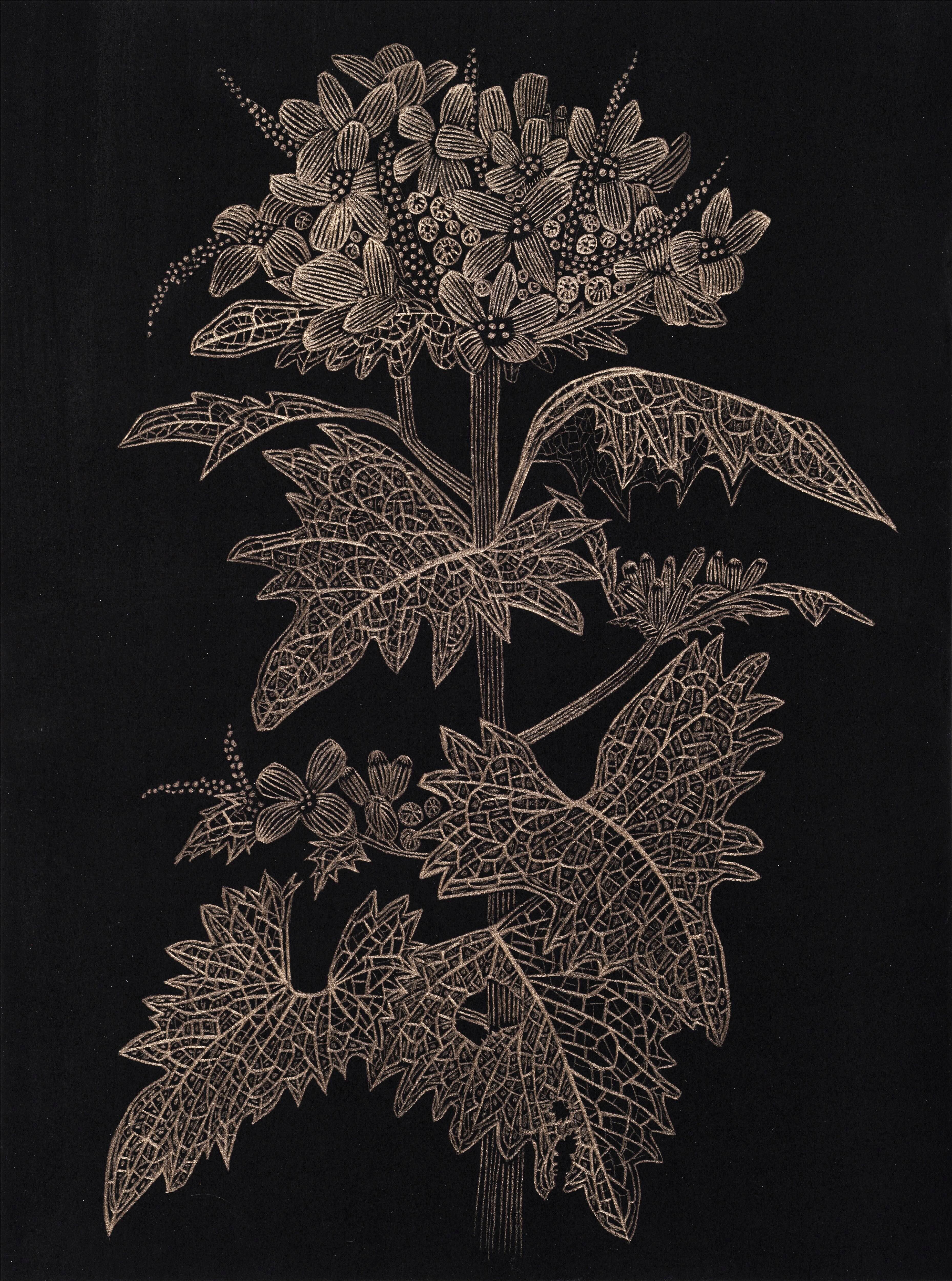 Moutarde à l'ail - Peinture botanique Plante dorée Feuilles noires Tige Bourgeon, 2025 - Art de Margot Glass