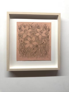 Star of Bethlehem - Botanical Wildflower Plant Flowers Silverpoint Peach, 2025