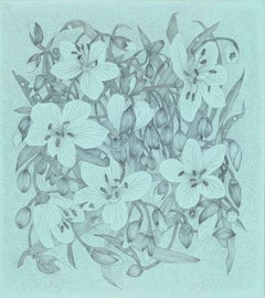 Spring Beauty - Botanical Wildflower Plant Flowers Silverpoint Pale Blue, 2025