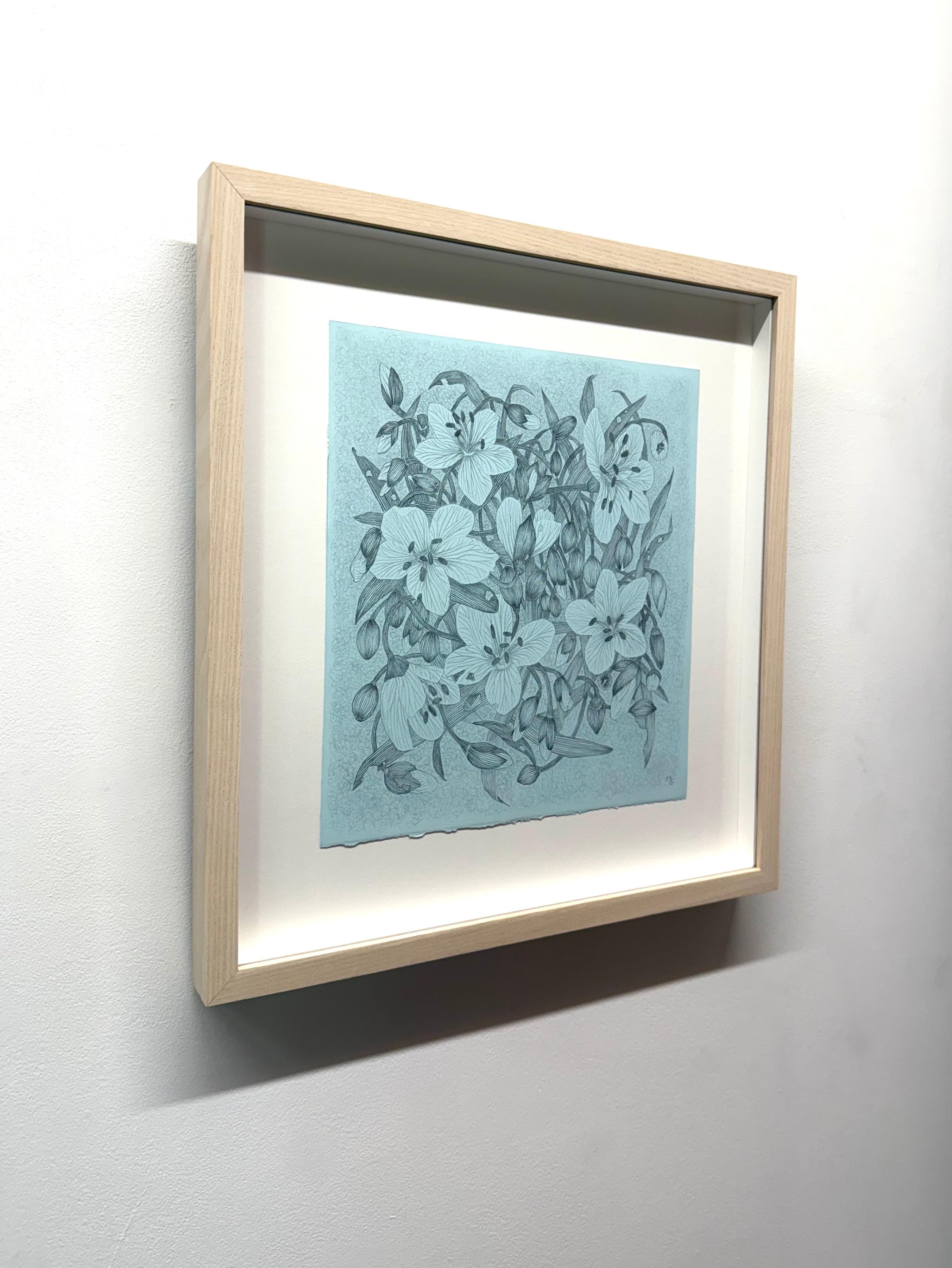 This delicate contemporary botanical drawing is made with silverpoint on light blue prepared  140lb Saunders Waterford cotton paper. The exploration of ephemerality, and the fragility of a wild spring beauty plant, its leaves, flowers and buds are