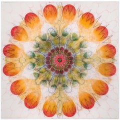 Abstract Drawings and Watercolors