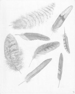 Feather Group Four - Silverpoint Drawing Bird Feathers Soft Gray White, 2021