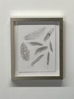 Feather Group Four - Silverpoint Drawing Bird Feathers Soft Gray White, 2021