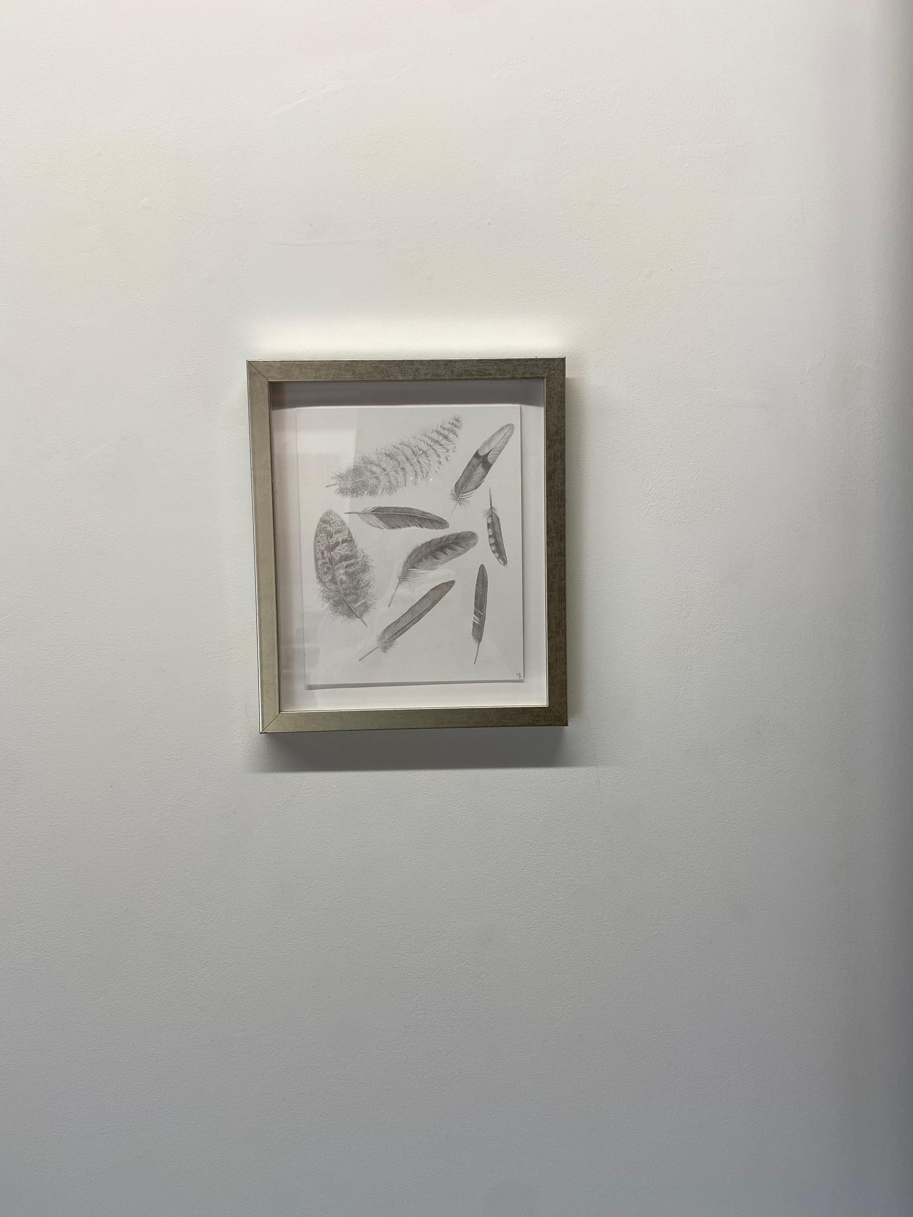 Feather Group Four - Silverpoint Drawing Bird Feathers Soft Gray White, 2021 - Contemporary Art by Margot Glass