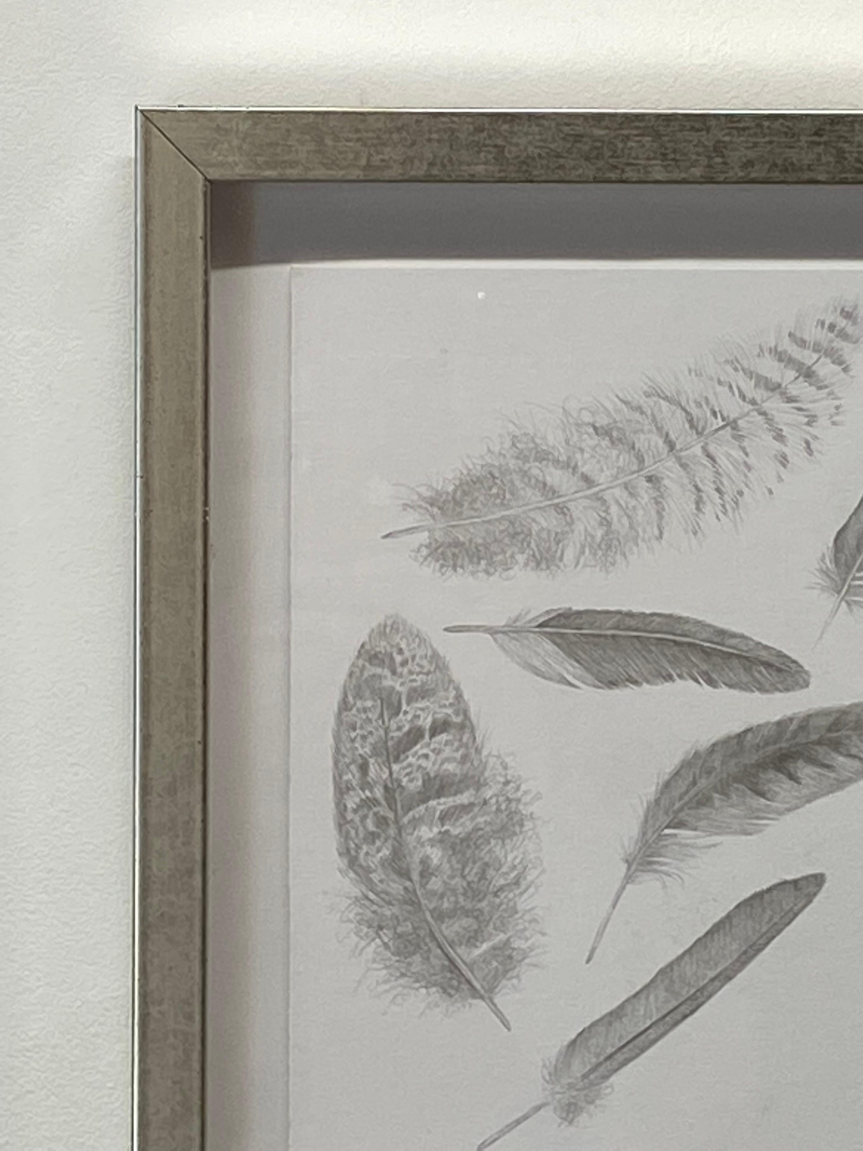This contemporary drawing is made with silverpoint on prepared archival board. The exploration of ephemerality, and the fragility of nature, its textures and movement, is the focus of this work by Margot Glass. The delicate beauty of a group of