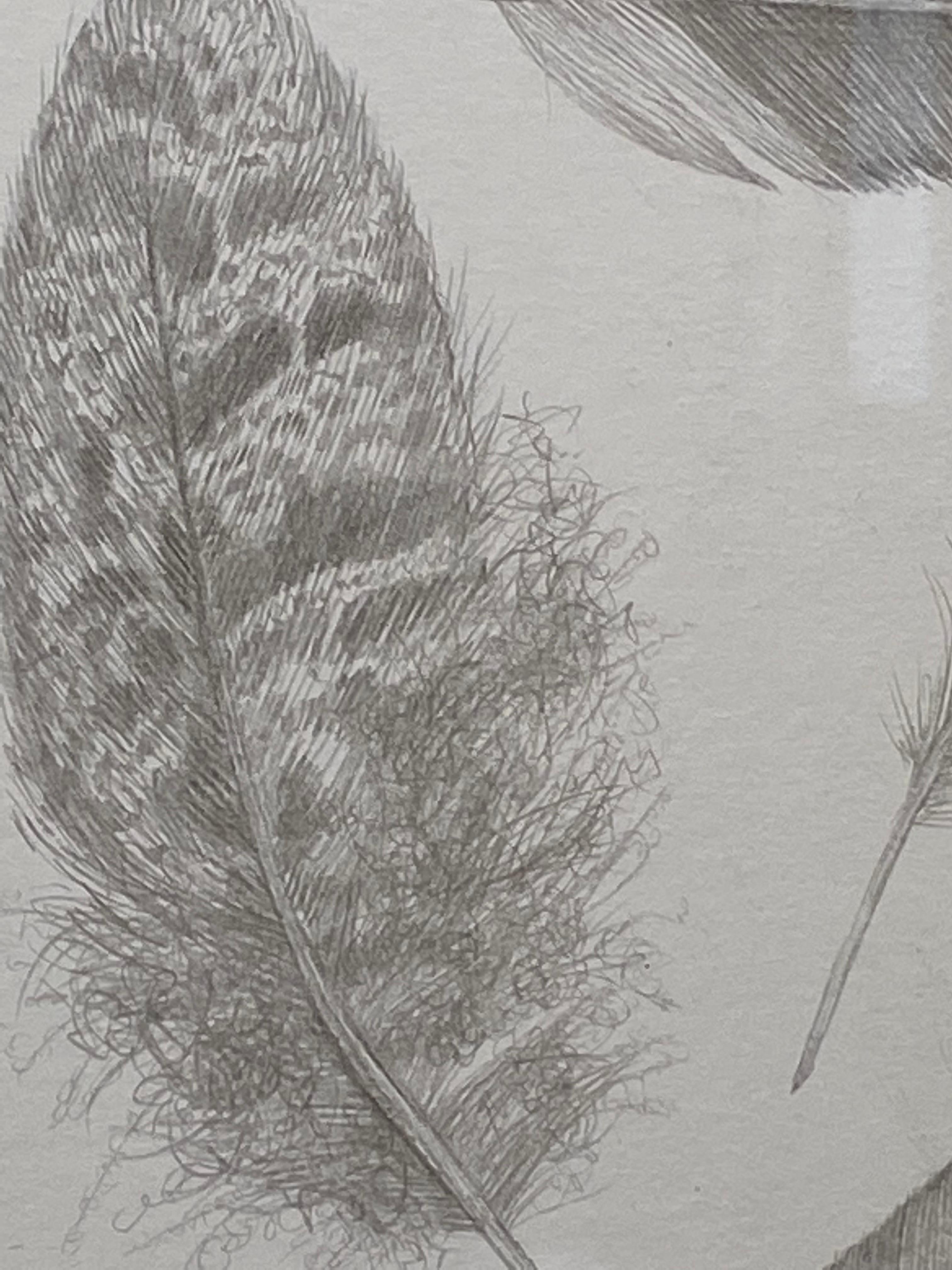 Feather Group Four - Silverpoint Drawing Bird Feathers Soft Gray White, 2021 For Sale 2