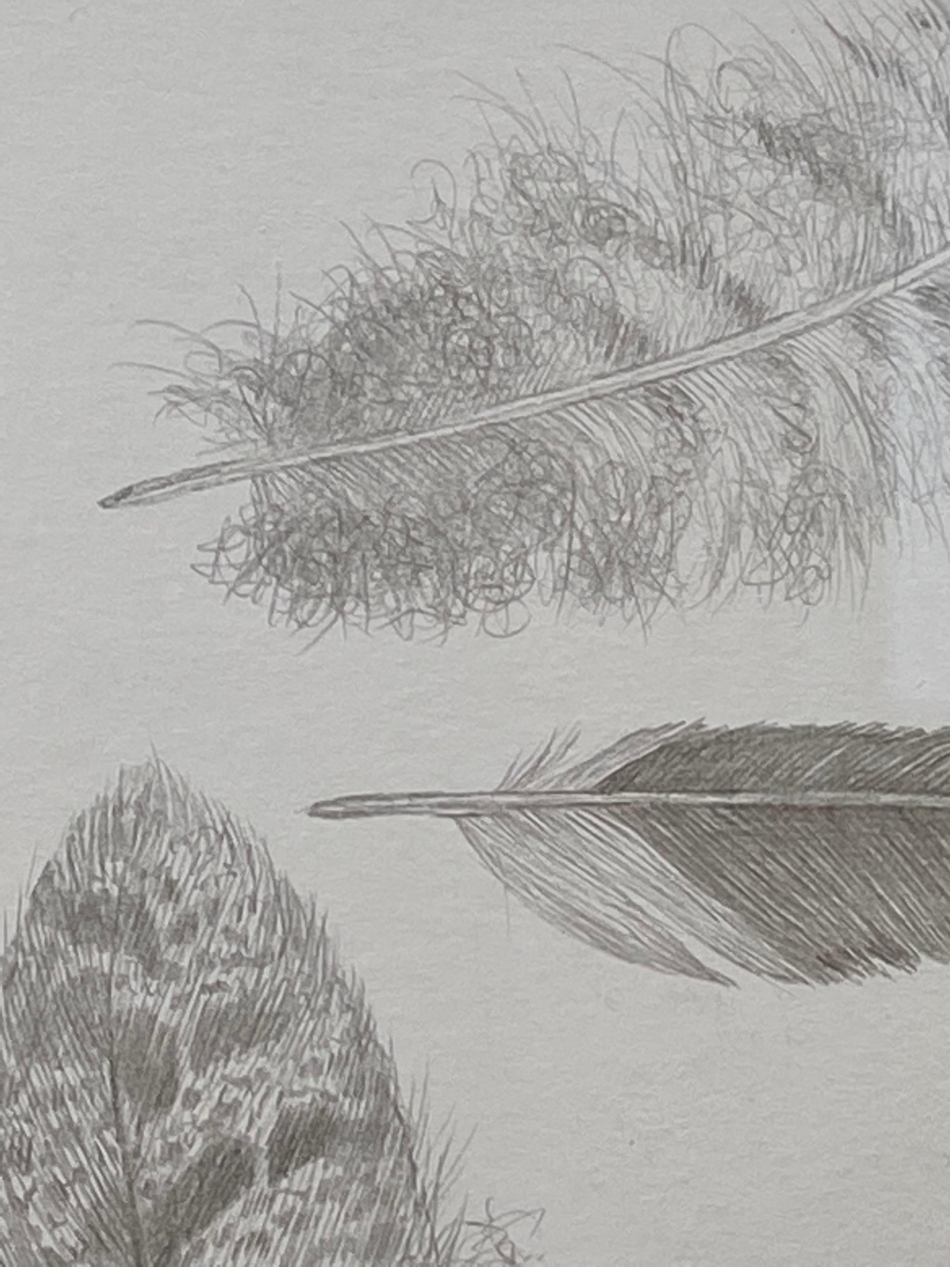 Feather Group Four - Silverpoint Drawing Bird Feathers Soft Gray White, 2021 For Sale 3
