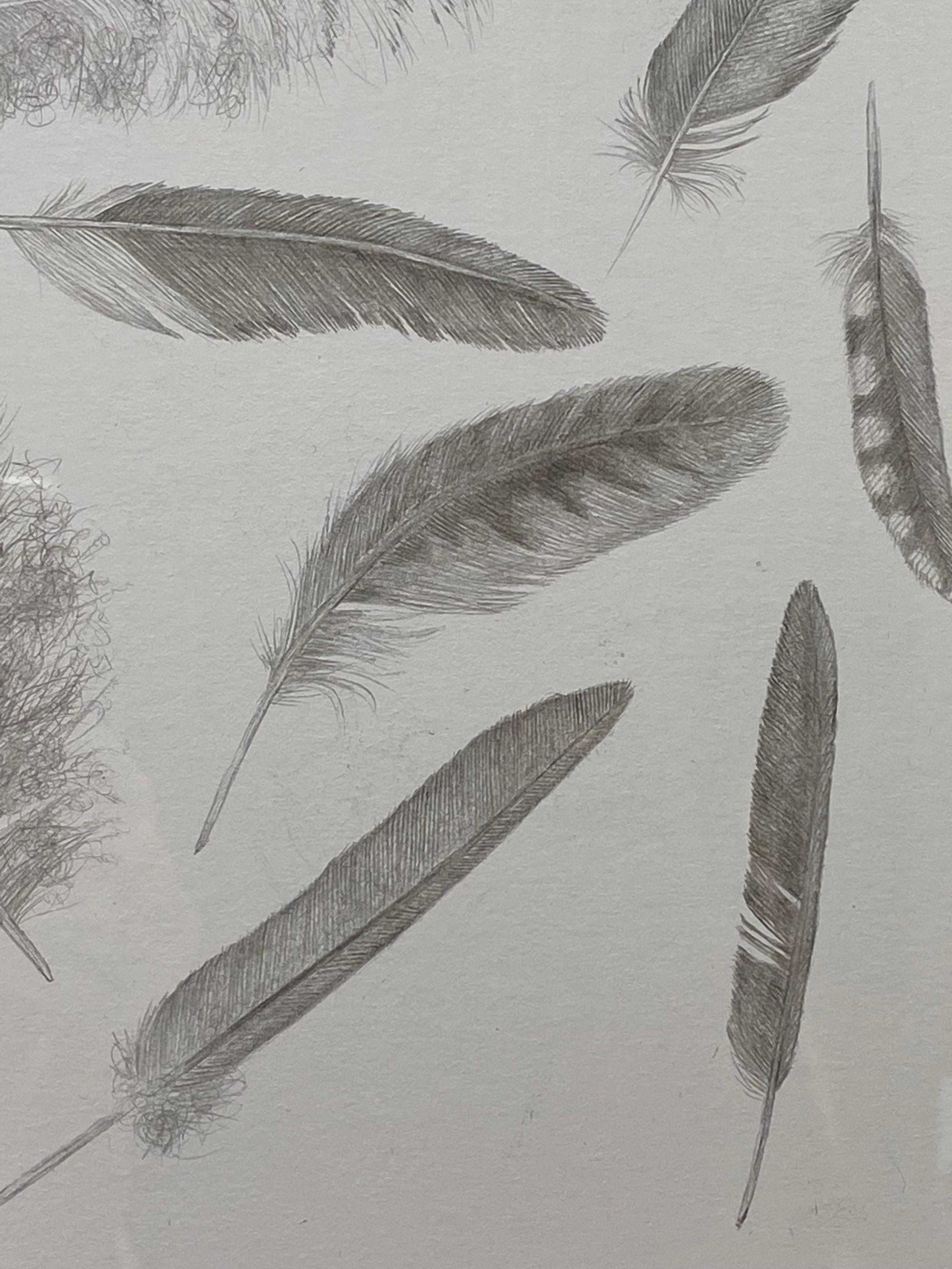 Feather Group Four - Silverpoint Drawing Bird Feathers Soft Gray White, 2021 For Sale 4