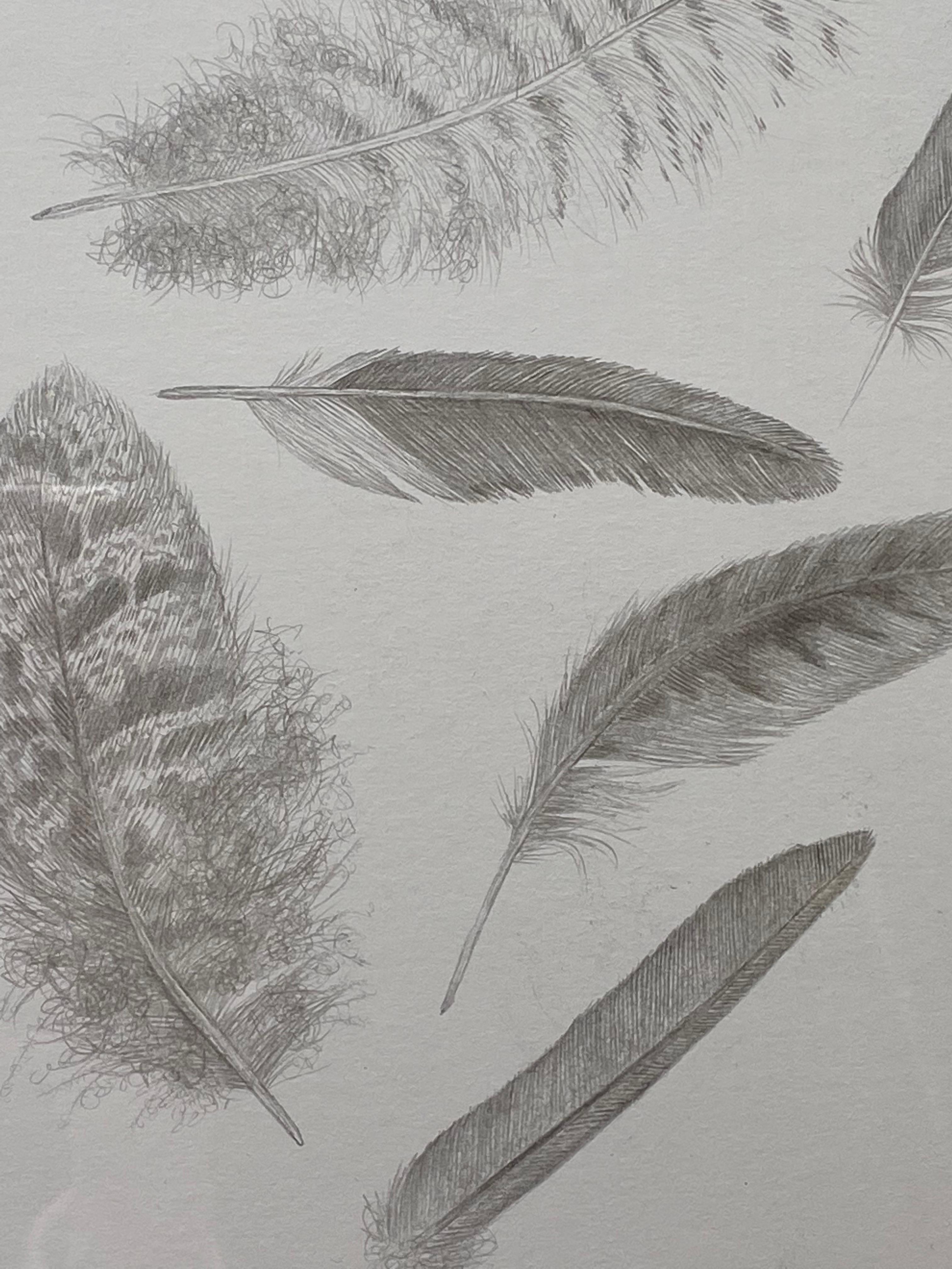 Feather Group Four - Silverpoint Drawing Bird Feathers Soft Gray White, 2021 For Sale 5