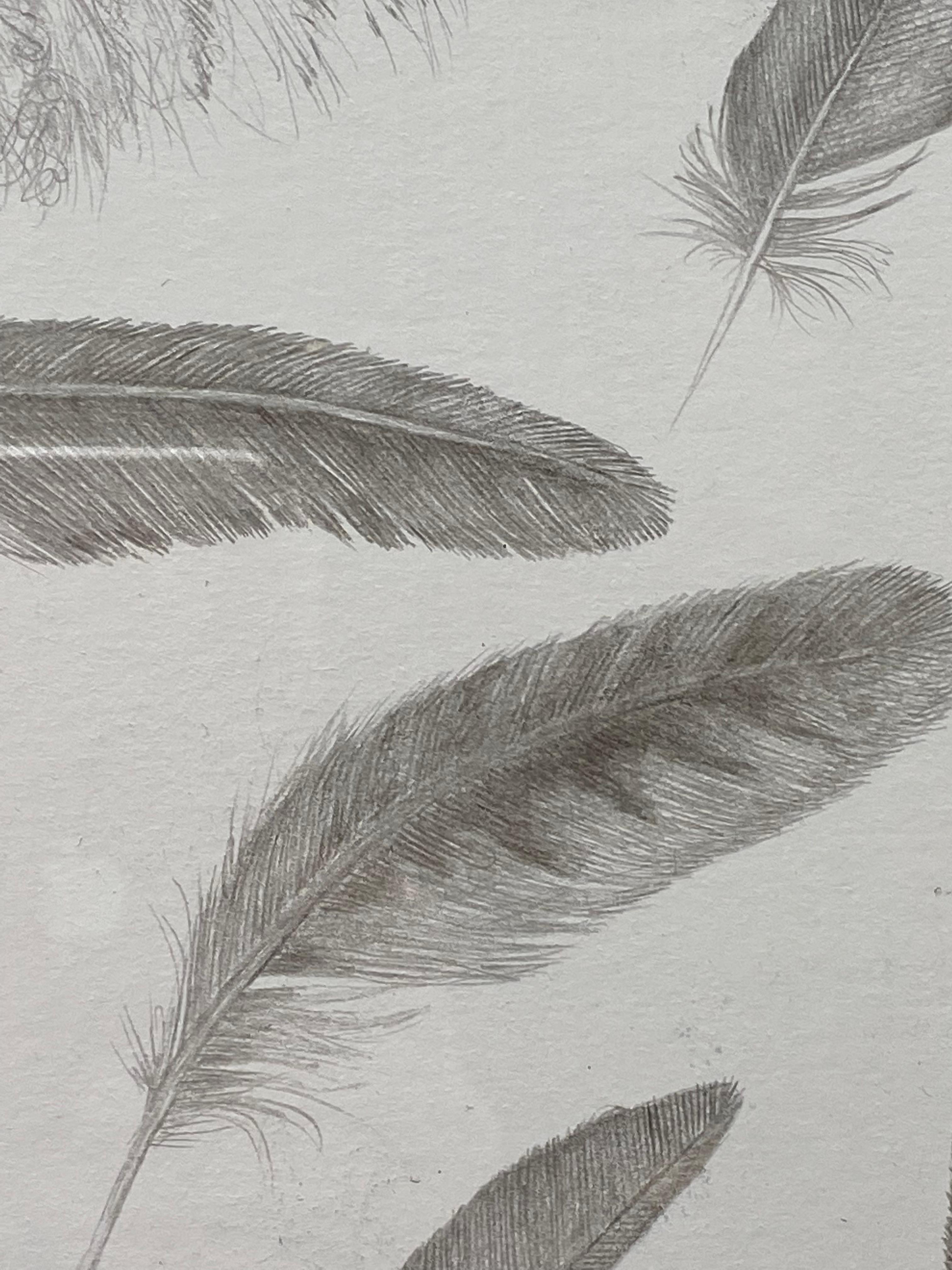 Feather Group Four - Silverpoint Drawing Bird Feathers Soft Gray White, 2021 For Sale 6