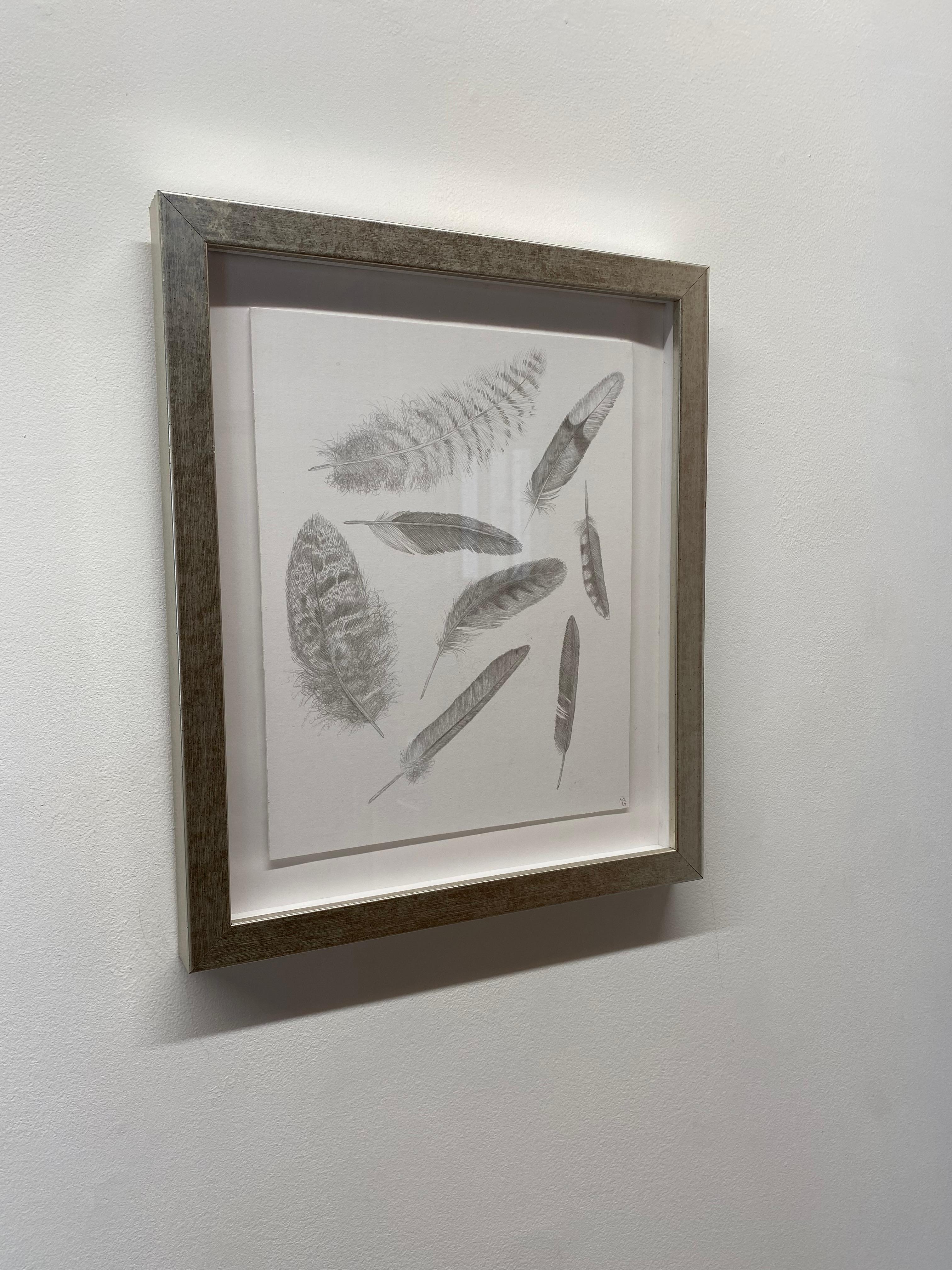 Feather Group Four - Silverpoint Drawing Bird Feathers Soft Gray White, 2021 For Sale 8