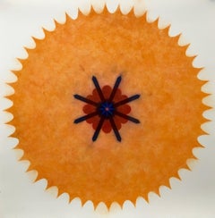 Pop Flower Four B Zero Five - Orange Red Black Geometric Mandala Circle, 2016