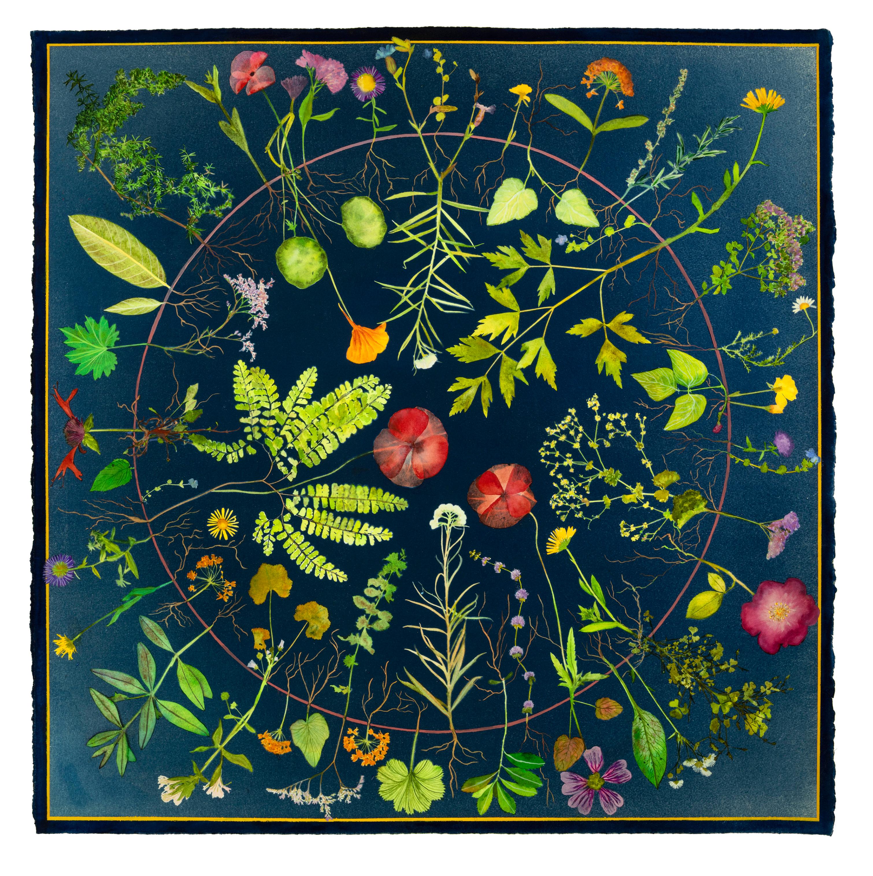 Planting Utopia Circle of Life - Cyanotype Painting Flowers Prussian Blue, 2024