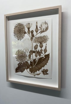 SOWE Thistle One - Fiori botanici di piante selvatiche Inchiostro marrone noce, 2025