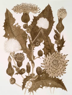 SOWE Tre - Fiori di piante selvatiche Disegno a inchiostro marrone noce, 2025