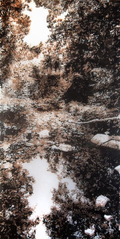 Lake George - Forest Landscape Reflection Sumi Ink Mylar, 2025