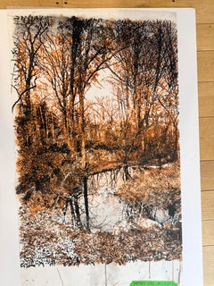 Novembre - Paysage forestier Encre Sumi Mylar, 2025