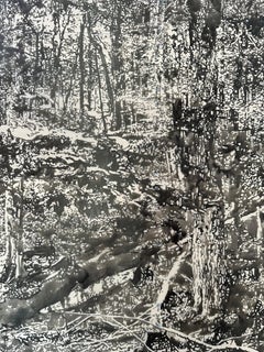 Vernal Pool Three - Paesaggio forestale Black Sumi Ink White Mylar, 2024