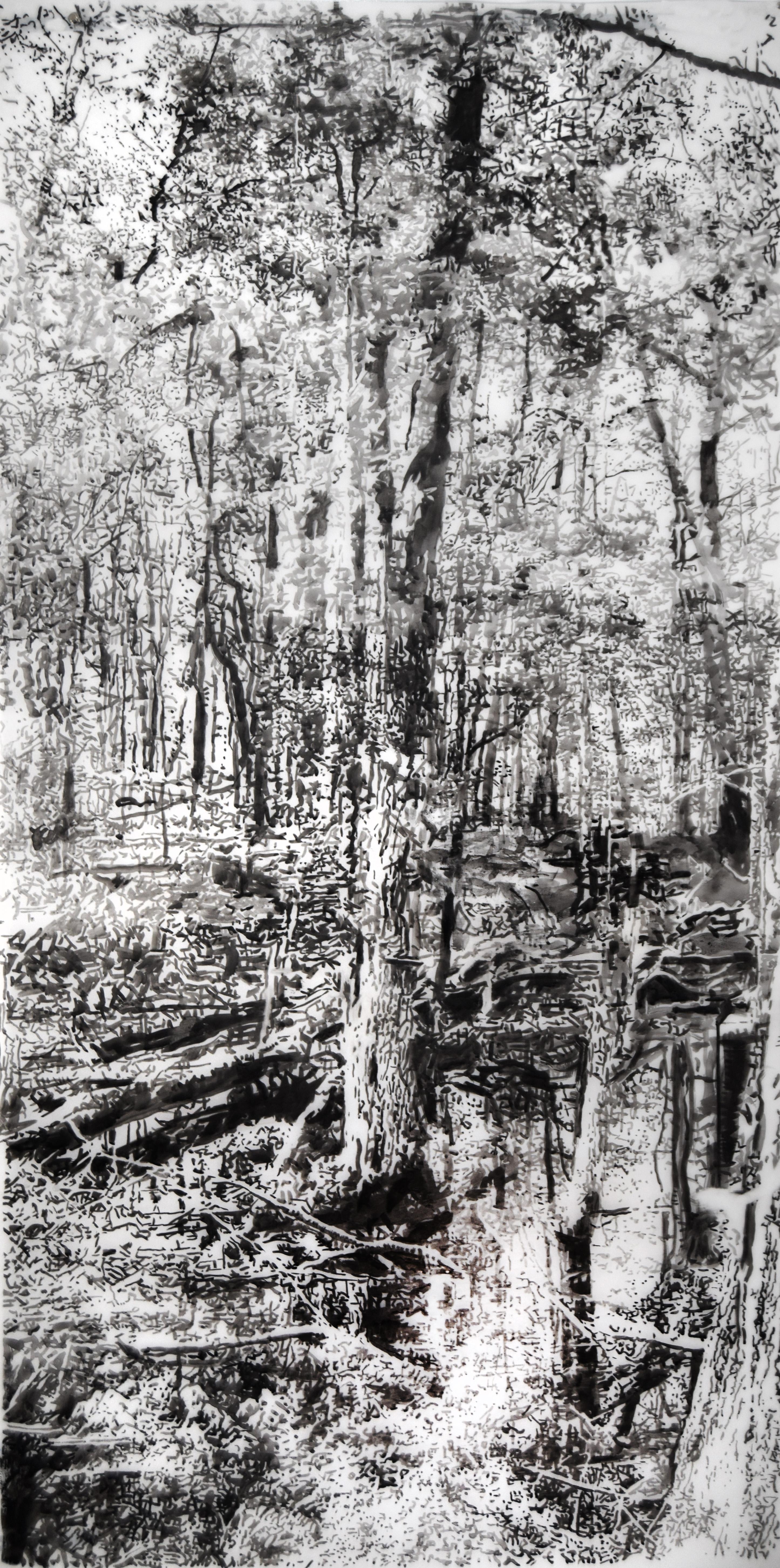 Andrea Kantrowitz Landscape Art - Vernal Pool Two - Forest Landscape Black Sumi Ink White Mylar, 2024