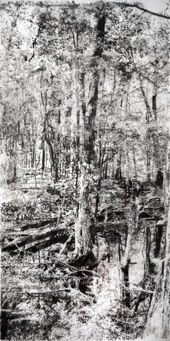 Vernal Pool Two - Paesaggio forestale Black Sumi Ink White Mylar, 2024