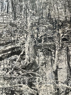 Vernal Pool Two - Paesaggio forestale Black Sumi Ink White Mylar, 2024