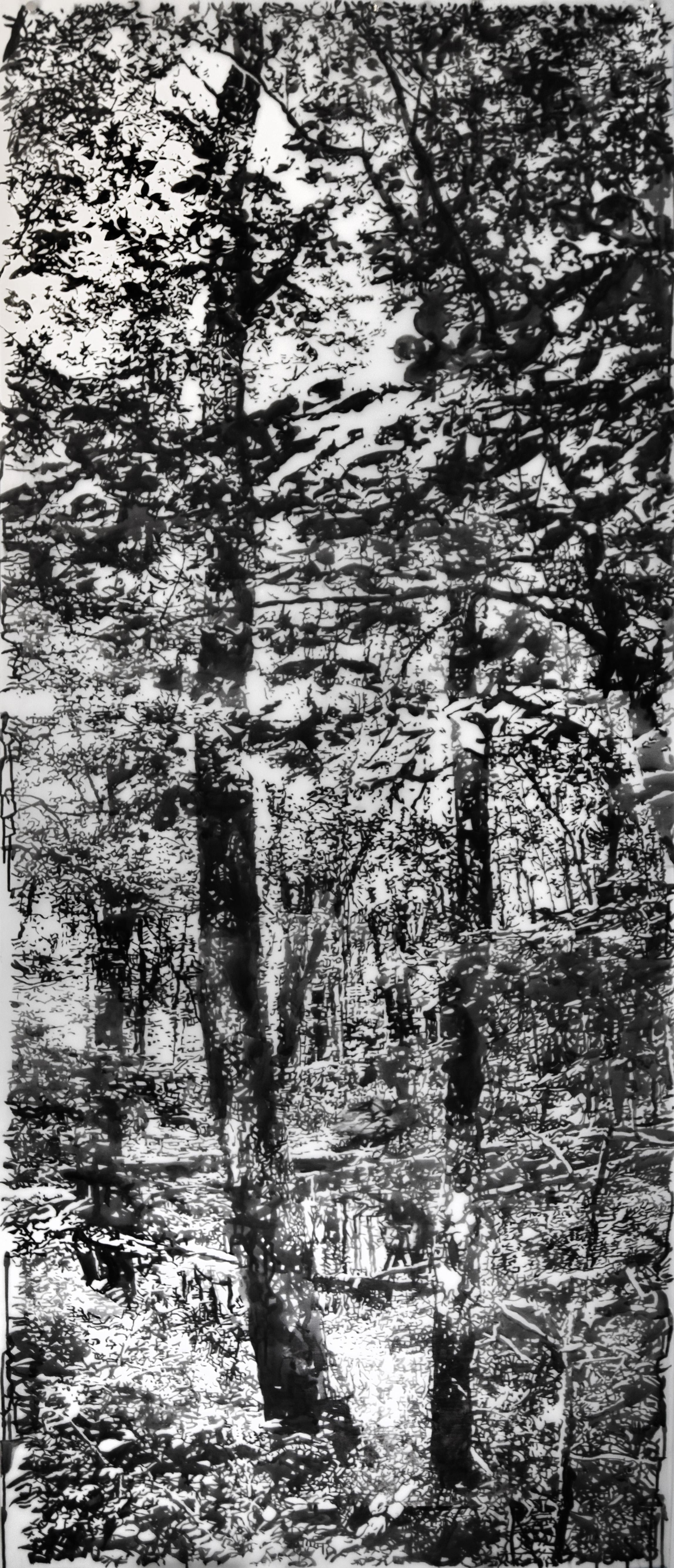 Andrea Kantrowitz Landscape Art – Zwei Bäume – Waldlandschaft mit schwarzer Sumi-Tinte und weißem Mylar, 2024
