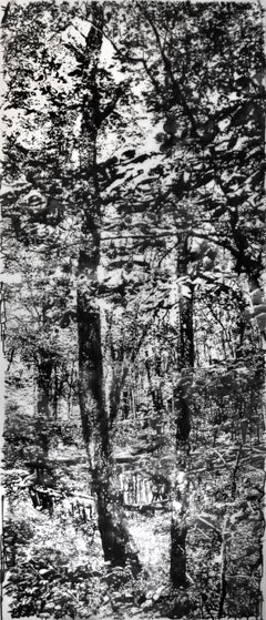 Due alberi - Paesaggio della foresta Black Forest Ink White Mylar, 2024