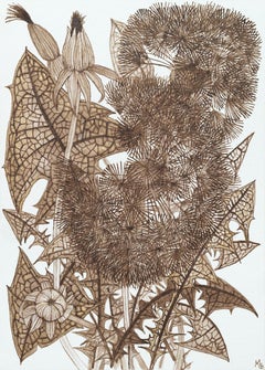 Dandelions One - Foglie e boccioli di piante, inchiostro marrone noce, 2026
