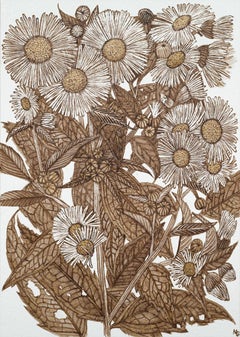 Daisy Fleabane One - Fiori, piante, foglie, boccioli, marrone, noce, inchiostro, 2026