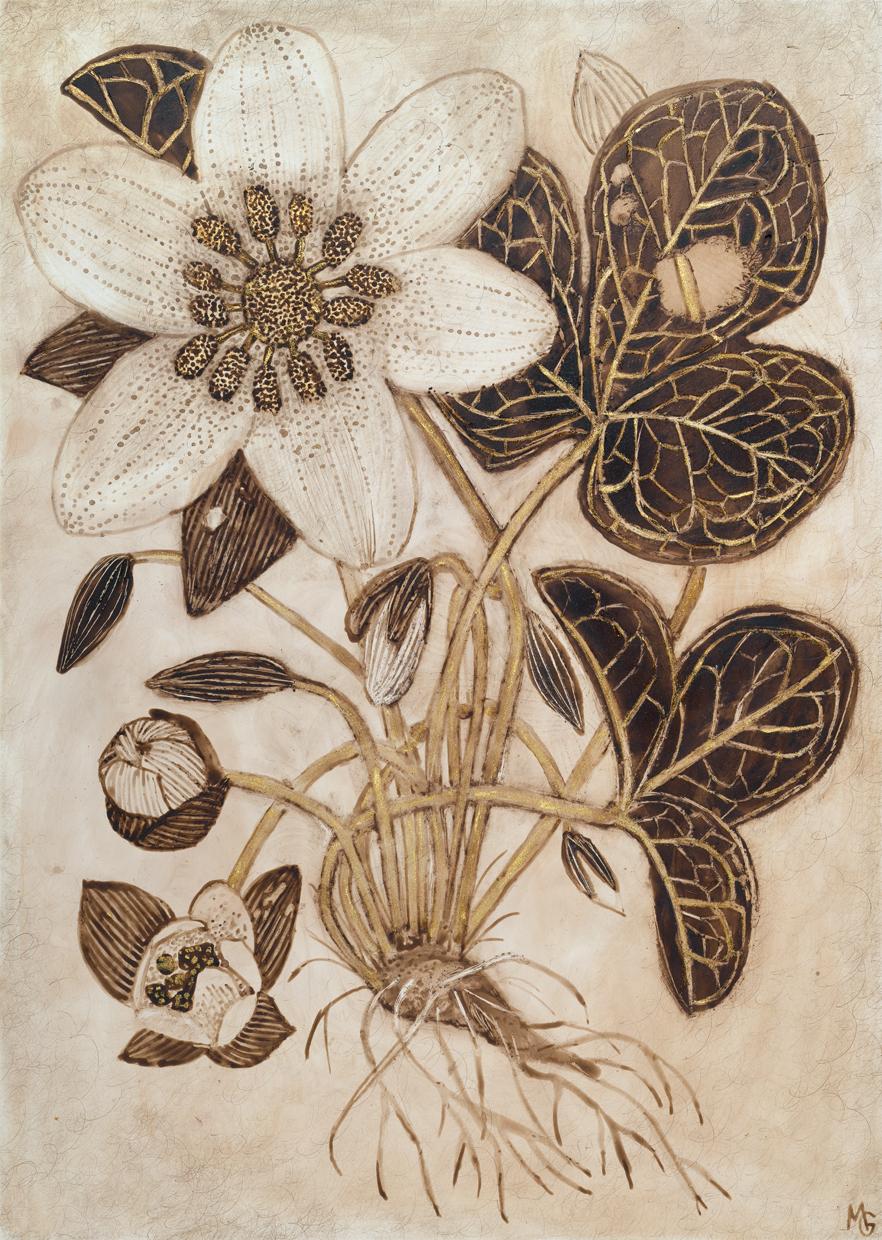 Anemone con radici n. 1 - Fiori, piante, foglie, boccioli, marrone, noce, inchiostro, 2026