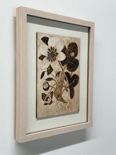 Anemone with Roots One - Flowers Plant Leaves Buds Brown Walnut Ink, 2026