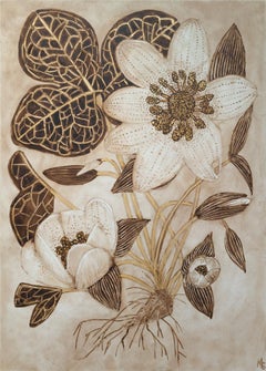 Anémona con raíces II - Flores, planta, hojas, raíces, marrón, tinta de nuez, 2026