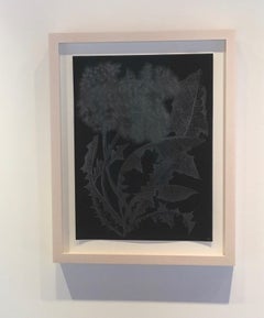 Zwei Pusteblumen Eins - Metallic Silber Botanische Zeichnung Pflanze Blätter Schwarz, 2019