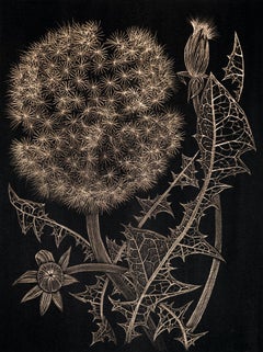 Dandelion with Two Buds - Metallic Gold Botanical Leaves Drawing Black, 2022