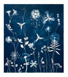 Nocturnal Nature Anemones Hibiscus - Cianotipo floreale contemporaneo, 2021-'23