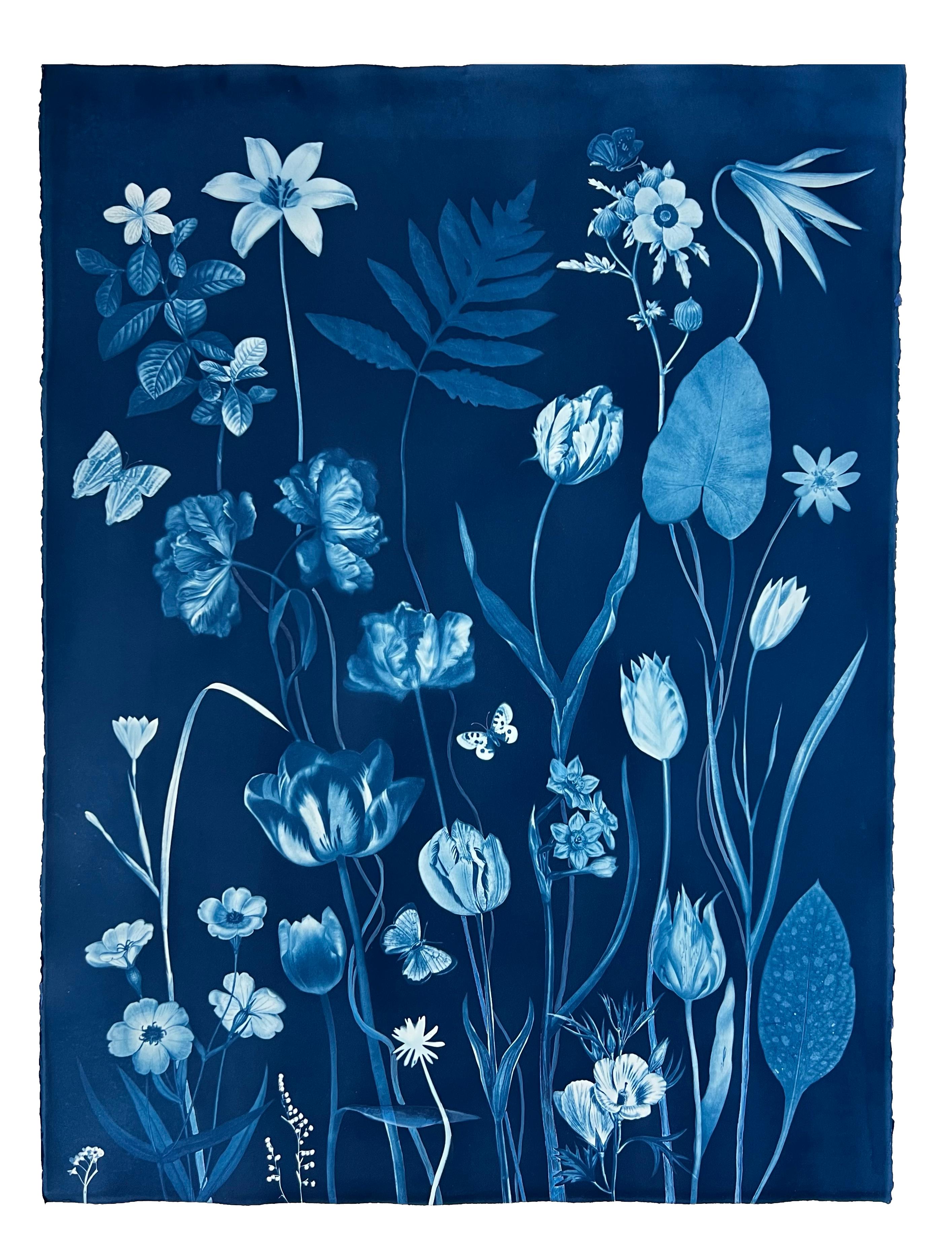 Picturesque Botany Tulips Lilies Leaves - Blue Cyanotype Flowers Plants, 2024