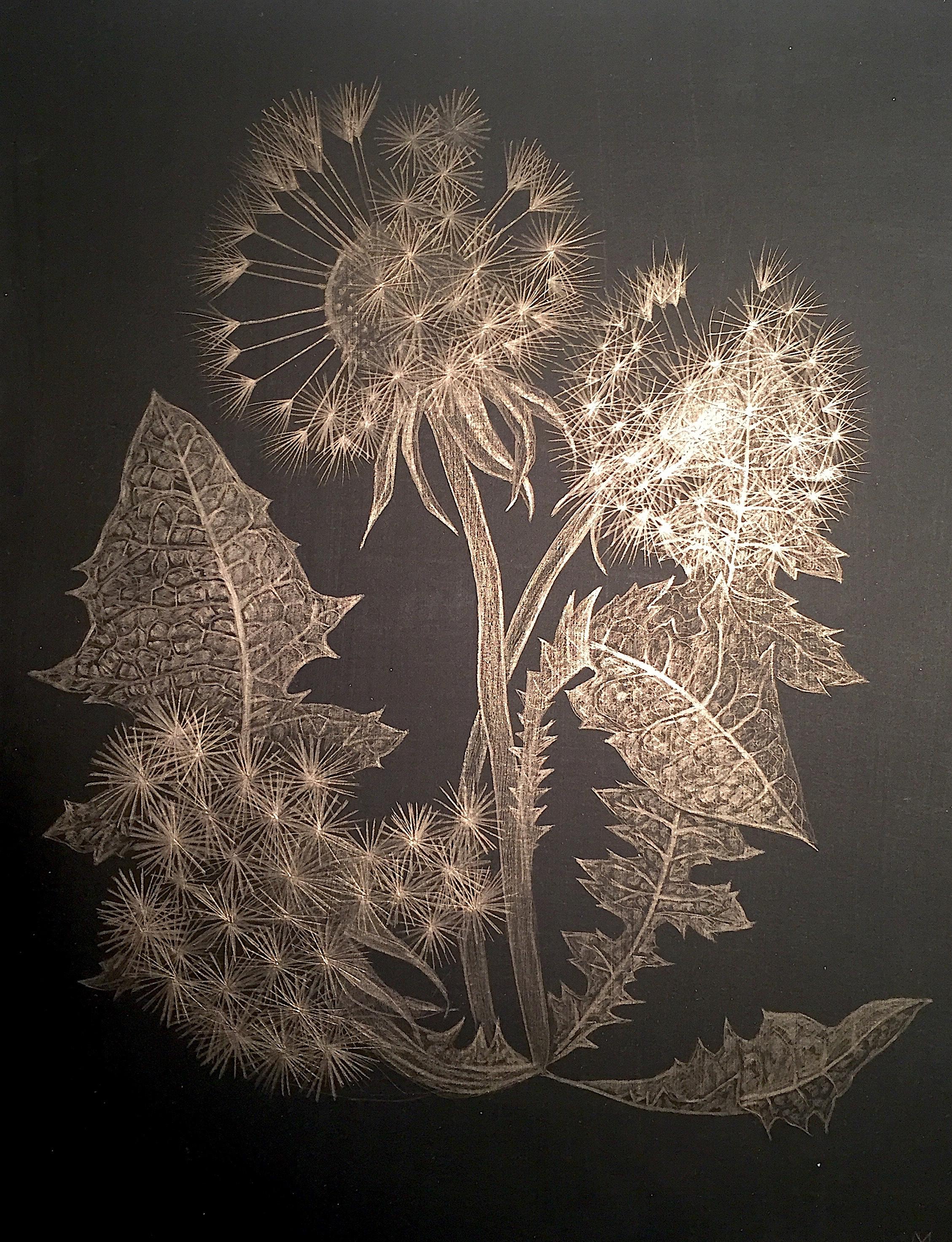 Margot Glass Landscape Art - Dandelion, Small Botanical Drawing on Black Paper Made with 14K Gold
