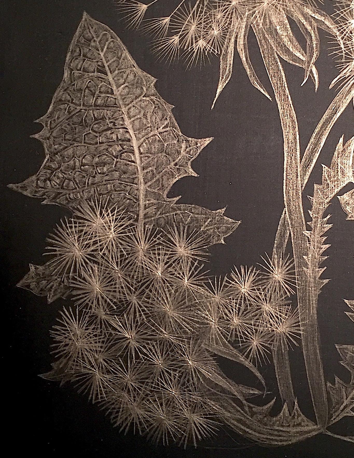 Dandelion, Small Botanical Drawing on Black Paper Made with 14K Gold - Art by Margot Glass