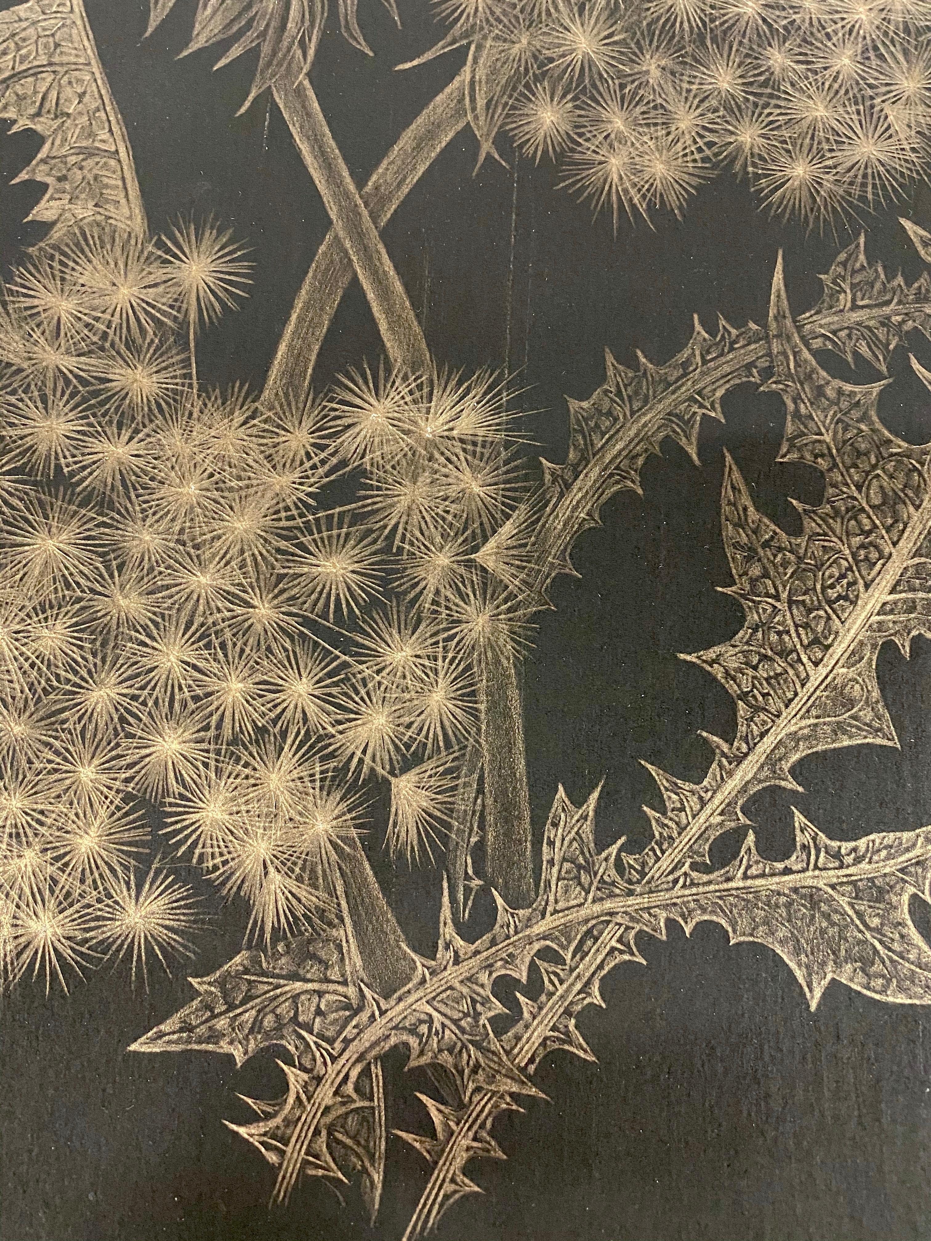 Dandelions with Bud, Small Botanical Drawing on Black Paper made with 14K Gold 2