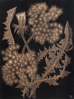 Dandelions with Bud, Small Botanical Drawing on Black Paper made with 14K Gold