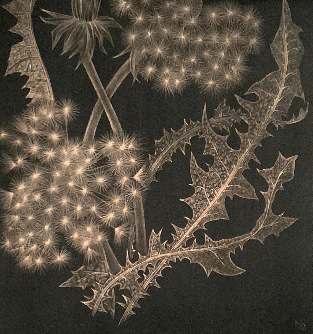 Dandelions with Bud, Small Botanical Drawing on Black Paper made with 14K Gold 4