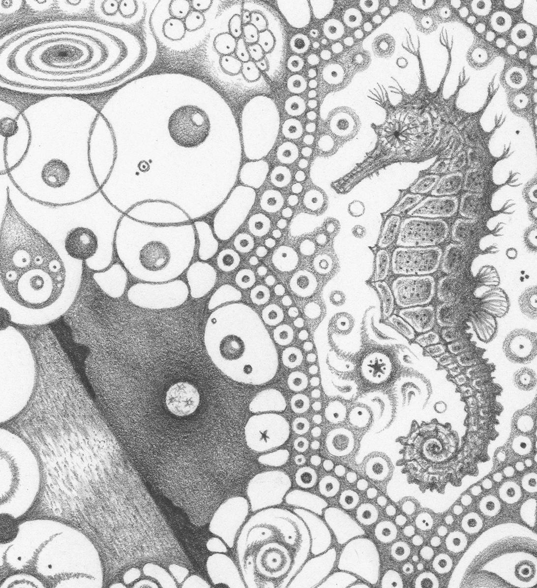 Snowflakes 126 Mermaid Dream, Mandala Pencil Drawing on Paper with Seahorse - Contemporary Art by Michiyo Ihara