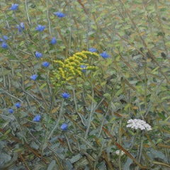 Discussion, Small Square Landscape with Blue and Yellow Flowers in Field