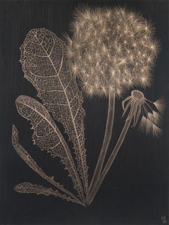 Dandelion with Full Leaf, Botanical Drawing on Black Paper made with 14K Gold